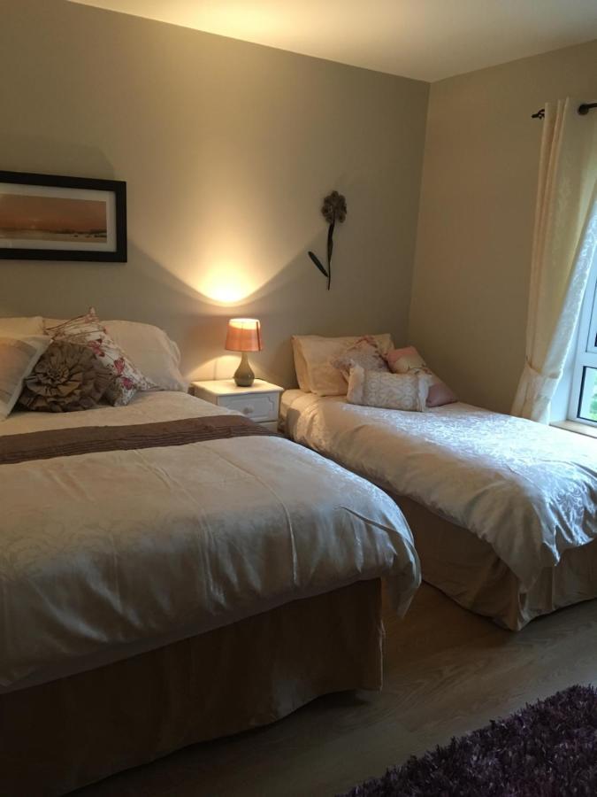Carrick House B&B 基利贝格斯 外观 照片