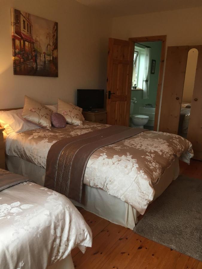 Carrick House B&B 基利贝格斯 外观 照片