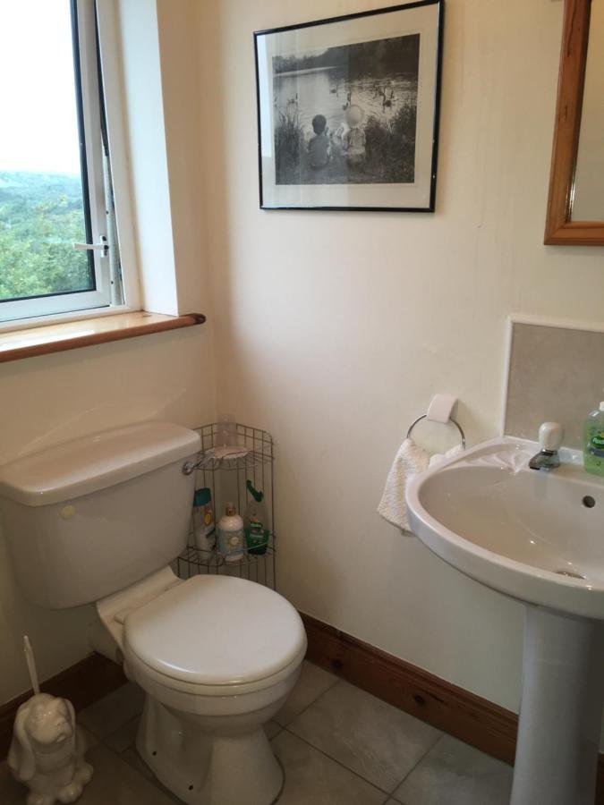 Carrick House B&B 基利贝格斯 外观 照片