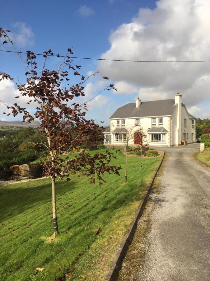Carrick House B&B 基利贝格斯 外观 照片
