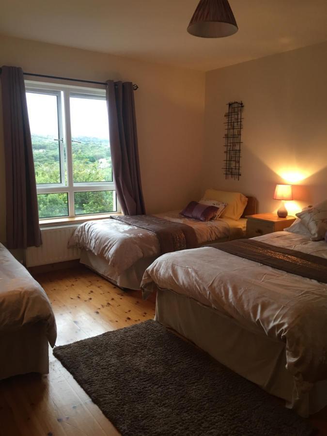 Carrick House B&B 基利贝格斯 外观 照片